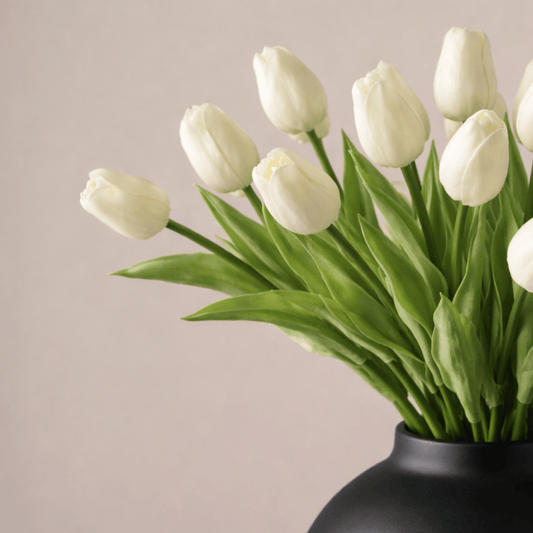 Tulpen Boeket - Creme Wit (20 stengels)